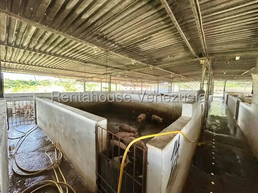 Negocios y Empresas (Alimentos y Bebidas) en Venta en Bruzual, Yaracuy - 17