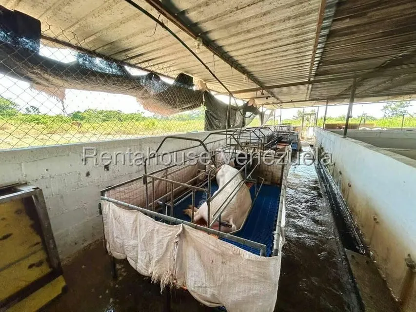 Negocios y Empresas (Alimentos y Bebidas) en Venta en Bruzual, Yaracuy - 18