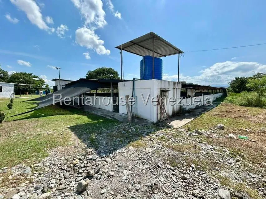 Negocios y Empresas (Alimentos y Bebidas) en Venta en Bruzual, Yaracuy - 19