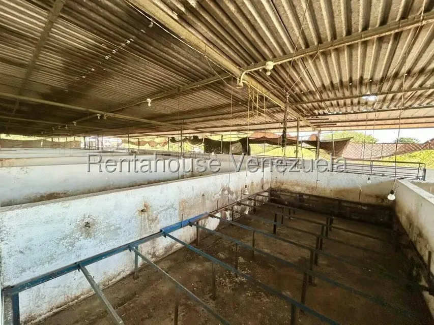 Negocios y Empresas (Alimentos y Bebidas) en Venta en Bruzual, Yaracuy - 4