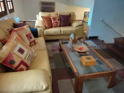 Vista 19