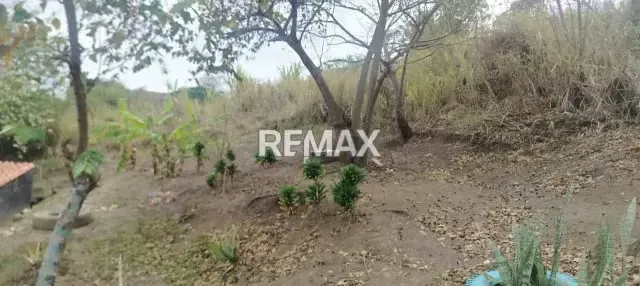 TERRENO EN VENTA CANEYES - 2