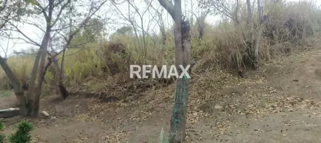 TERRENO EN VENTA CANEYES - 3