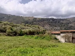 Vista 5