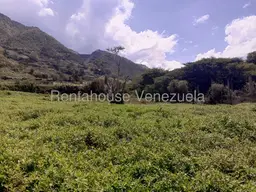 Vista 6