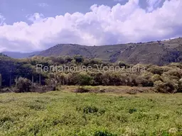Vista 10