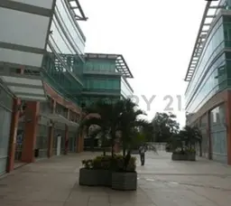 Vista 3