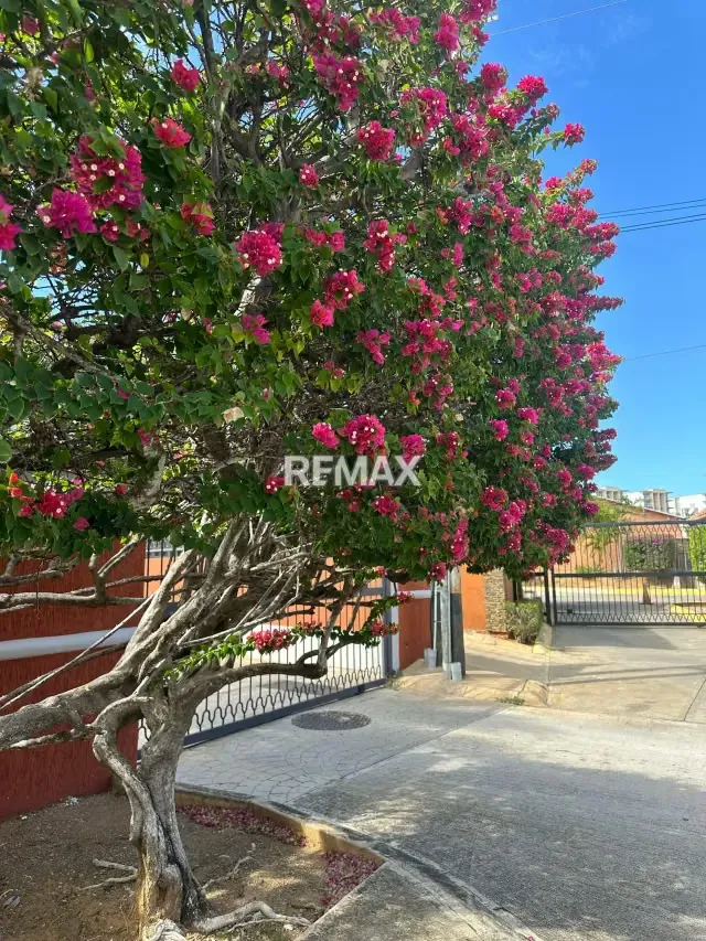 CASA EN ALTOS DE MANEIRO, URB. LOS TESTIGOS, MANEIRO, ISLA DE MARGARITA - 19