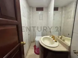 Vista 15
