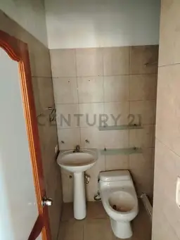 Vista 6
