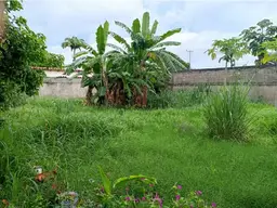 View 22