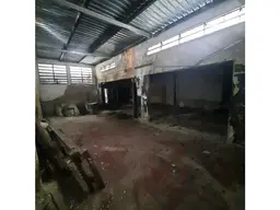 Vista 19
