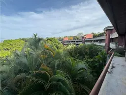 Vista 1