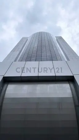Vista 19