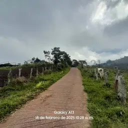 Vista 3