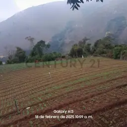 Vista 4