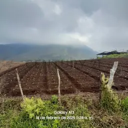 Vista 9