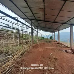 Vista 10