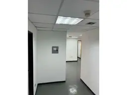 Vista 5