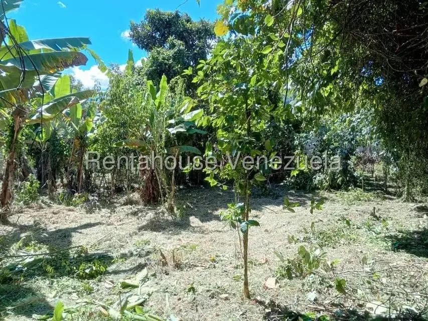 Terreno (Residencial) en Venta en Primera Sabana, Trujillo - 11