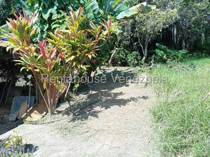 Terreno (Residencial) en Venta en Primera Sabana, Trujillo - 12