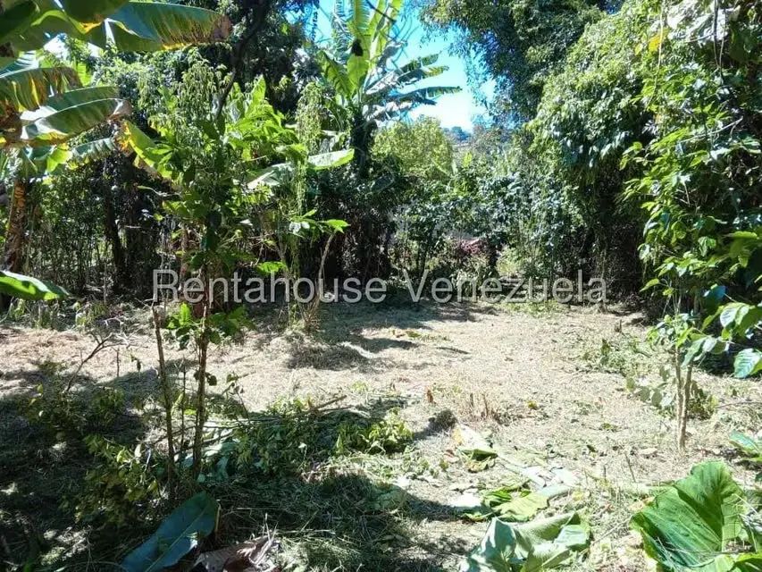 Terreno (Residencial) en Venta en Primera Sabana, Trujillo - 2
