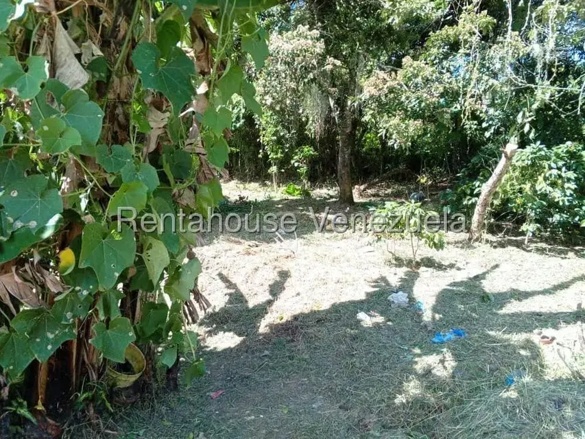 Terreno (Residencial) en Venta en Primera Sabana, Trujillo - 3