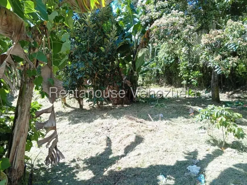 Terreno (Residencial) en Venta en Primera Sabana, Trujillo - 4