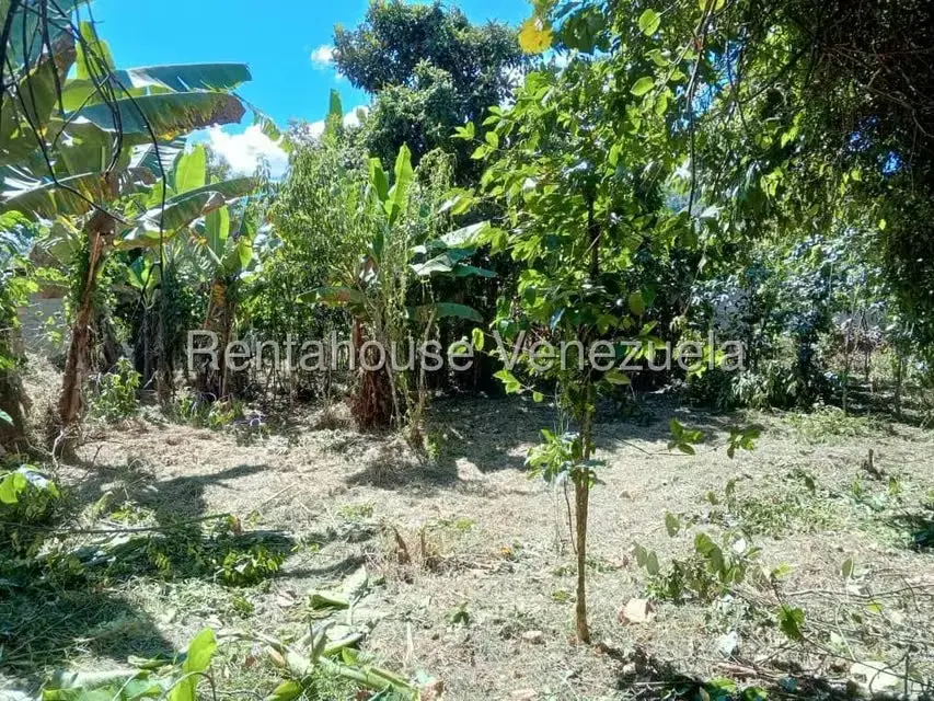 Terreno (Residencial) en Venta en Primera Sabana, Trujillo - 6