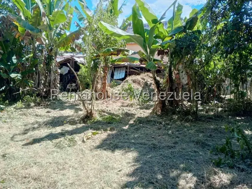 Terreno (Residencial) en Venta en Primera Sabana, Trujillo - 9