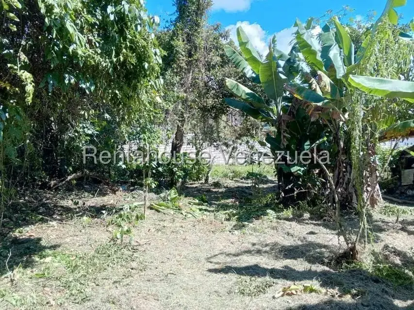 Terreno (Residencial) en Venta en Primera Sabana, Trujillo - 10