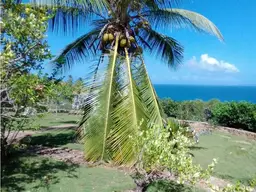 View 15