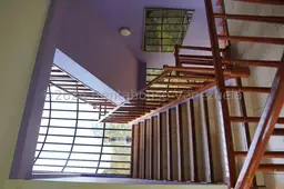 Vista 31