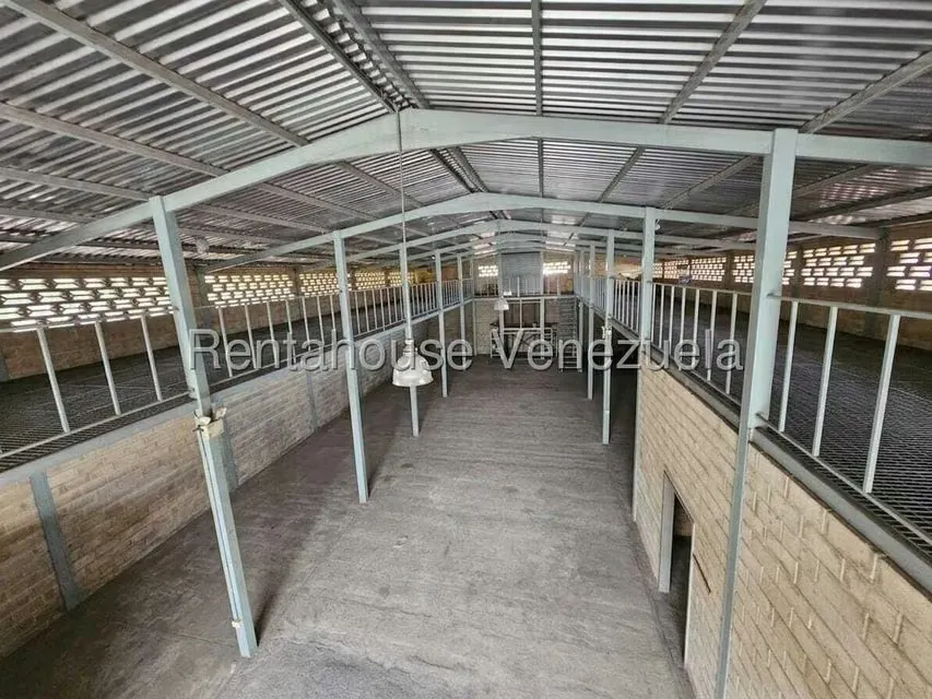 Comercial (Local Comercial) en Venta en Zona Centro, Aragua - 13