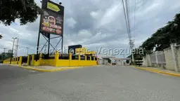 Vista 24