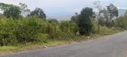 View 1