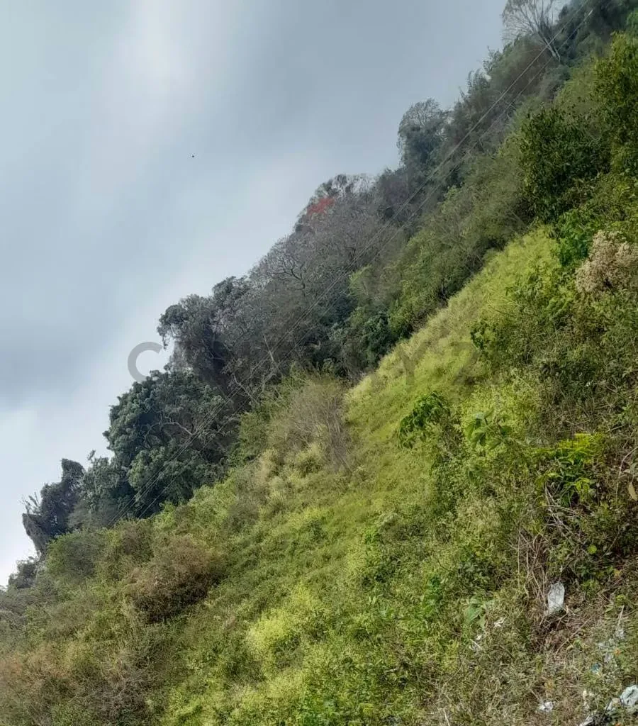 Venta Terreno El Pueblito aldea Piar - 2