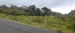 View 4