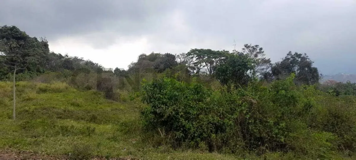 Venta Terreno El Pueblito aldea Piar - 5