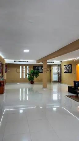 Vista 41