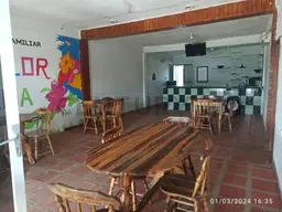 Vista 4