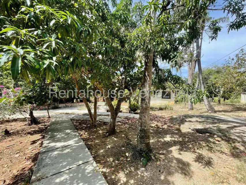 Galpon - Deposito en Venta en Agua Viva, Lara - 48