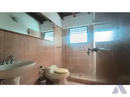 Vista 29