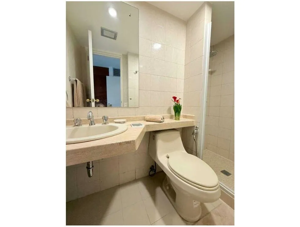 Se alquila apartamento Ph 480m2 Valle Arriba 0966 - 13