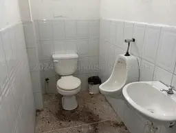 Vista 11