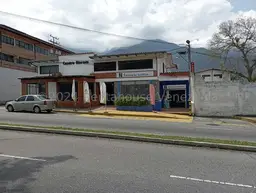 Vista 28