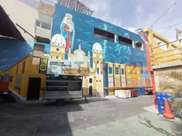Vista 6