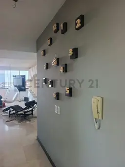 Vista 11