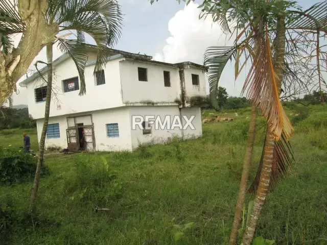 FINCA DE 3.8 HAS. EN VENTA EN BOQUERON, TACARIGUA, MUNICIPIO CARLOS ARVELO EDO. CARABOBO - 3