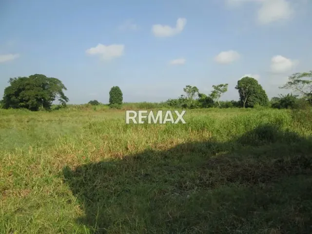 FINCA DE 3.8 HAS. EN VENTA EN BOQUERON, TACARIGUA, MUNICIPIO CARLOS ARVELO EDO. CARABOBO - 4